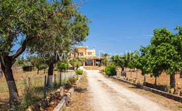 Villa mit 5 Schlafzimmern und Pool auf dem Lande 2