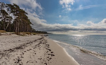 "Hildegerd" - 500m from the sea in Bornholm 3