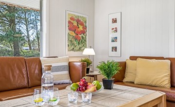 "Elny" - 500m to the inlet in Western Jutland 2