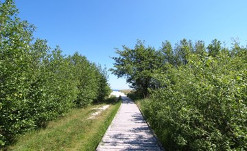 "Amaru" - 500m from the sea 3