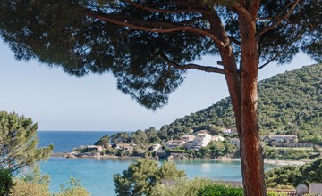 Le Télémaque 2 kamers Mezzanine 2