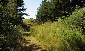 "Kalv" - 75 meter van de zee in Zuidoost-Jutland 2