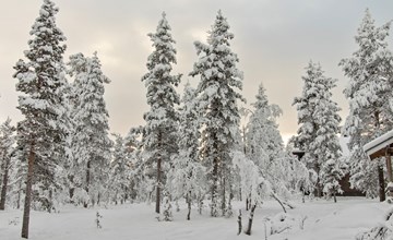 Rennstopp 1 2