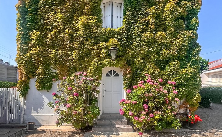4 bedroom cozy home in Royan 1