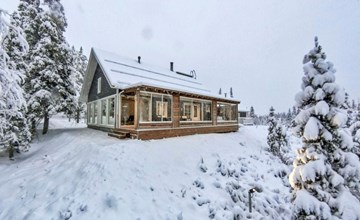 Große Cranberry b 3