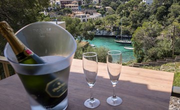 Cas Padrins de Santanyi 3