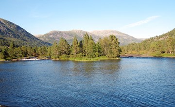 Ameisennetz (FJS051) 3