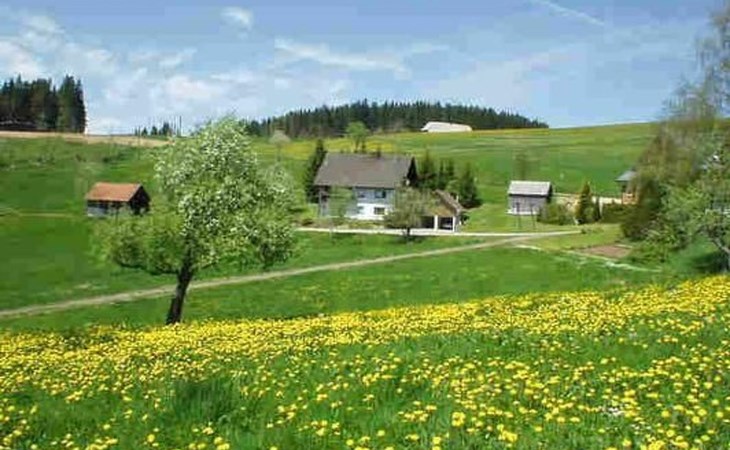 Appartement mit Garten in Schwärzenbach 1
