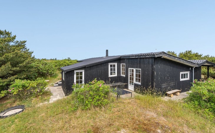 "Stefana" - 200m from the sea in Western Jutland 1