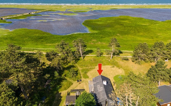 "Felis" - 575m from the sea 1