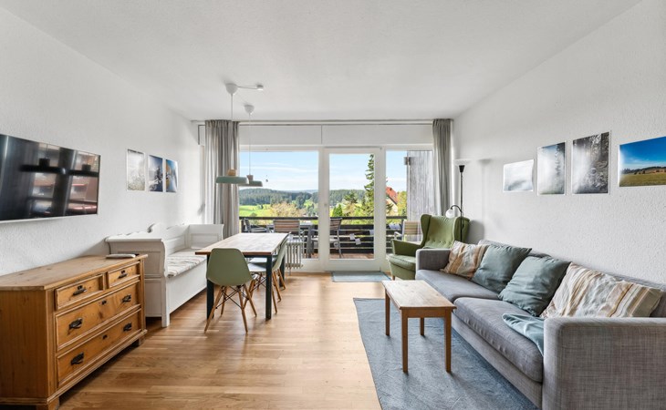 Gorgeous apartment 1
