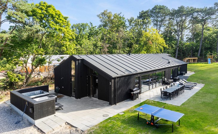 Cozy home in Hadsund with sauna 1