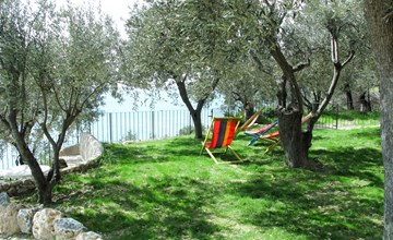 Francesca (VGO210) 2