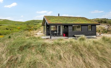 "Apolina" - uit de zee in West-Jutland 3