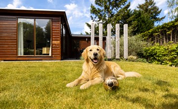 Veluwe Lodge 2