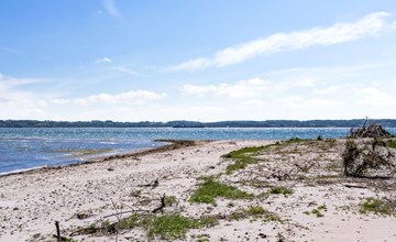 "Fokke" - 450m from the sea 3