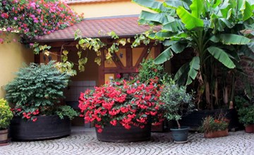Große Ferienwohnung Gite mit Terrasse 2