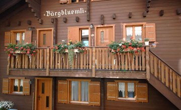 Bärgblüemli - 1e verdieping west 2