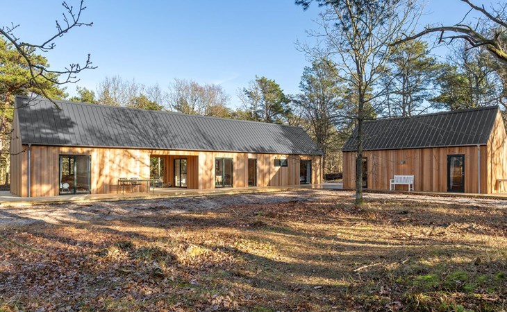 "Blakke" - 200m from the sea in NE Jutland 1