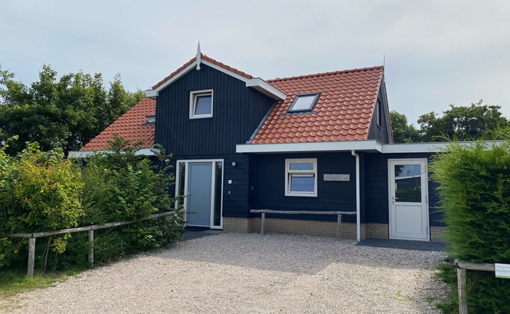 Bruinvis / Tuimelaar (6p) 1