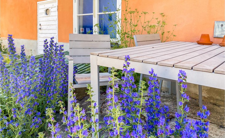 Cozy apartment in Visby with kitchen 1