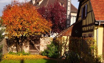 Gite "Sonneblüem un Pfefferminz" 2