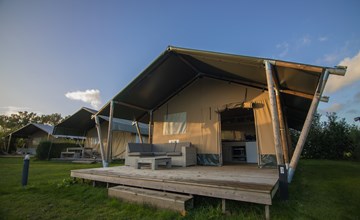 Safari tent, 6-person 2