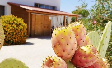 Mini-Wohnung in einer Residenz-Lösung 3