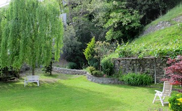 Groene wilg (GLA131) 2