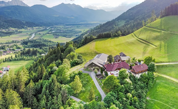 Waldblick in Steinfeld 1