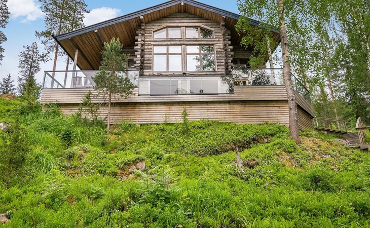 Willa raptor's nest 1