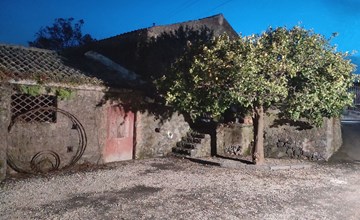 Le Palme in linera 3