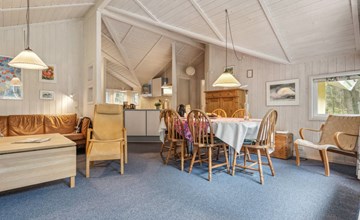 "Alaine" - 850m from the sea in Western Jutland 2