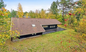 "Aimo" - 300m from the sea 3