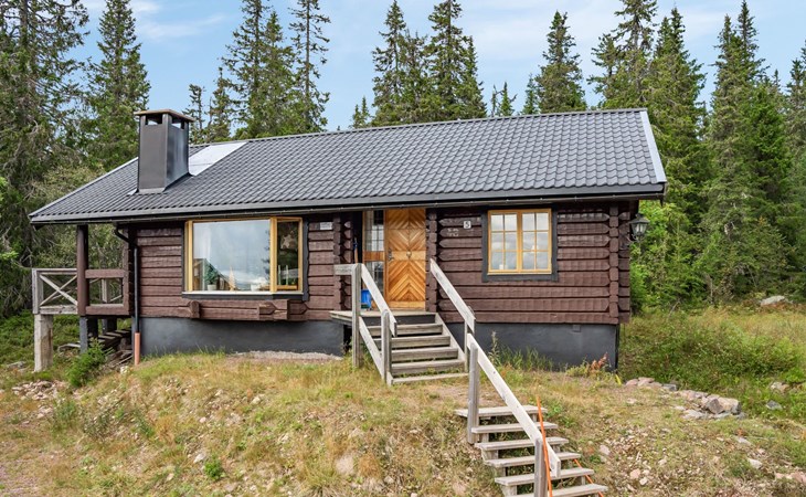 Korpstigen Elgen (DAN075) 1