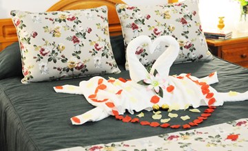 Helles Appartement im Erdgeschoss 2