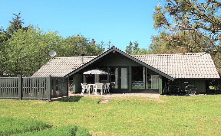 "Anka" - 2km from the sea in Western Jutland 1