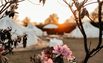 Lotus Belle tent 2
