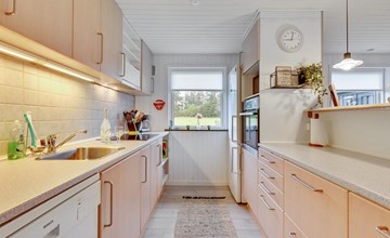 "Tholf" - 100 meter van de inham in West-Jutland 2