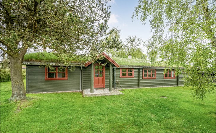4 bedroom stunning home in Otterup 1