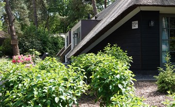 Sprielderbosch 12A luxe vakantiewoning op vakantiepark op de Veluwe 3