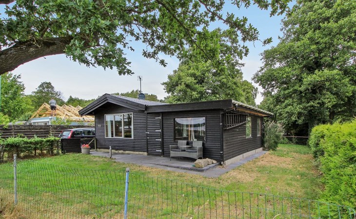 „Graa“ in Südostjütland 1