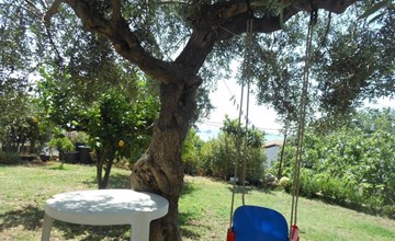 in Santa Maria Navarrese 2