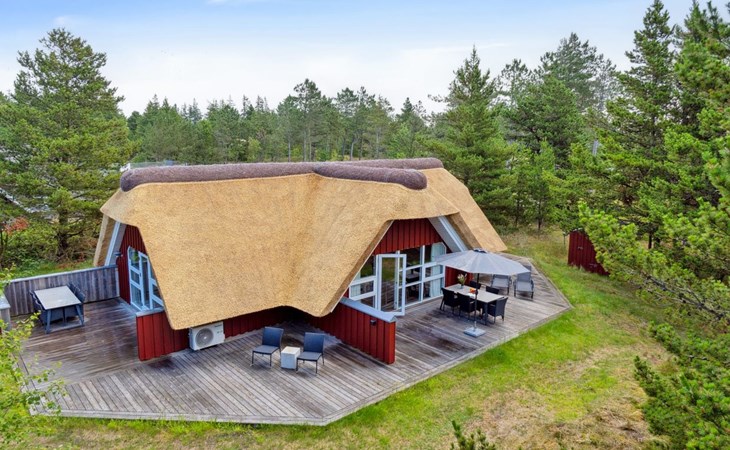 "Urpo" - 6km from the sea in Western Jutland 1