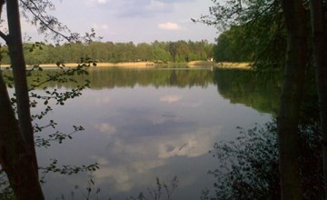 Bungalow Waldidyll 3