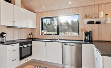 "Dyke" - 1.5km from the sea in NW Jutland 2