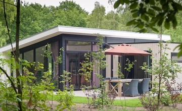 Bos Lodge 75 | 4 Personen 2