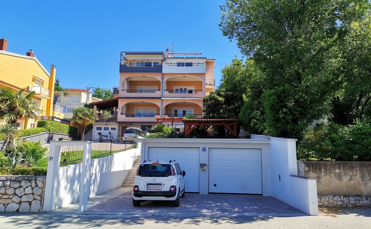 "Bruno" mit Blick auf das Wasser 1