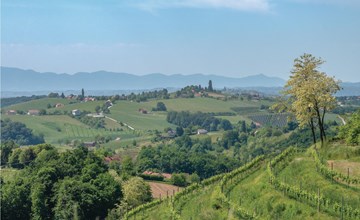Awesome home in Strigova with WiFi 3
