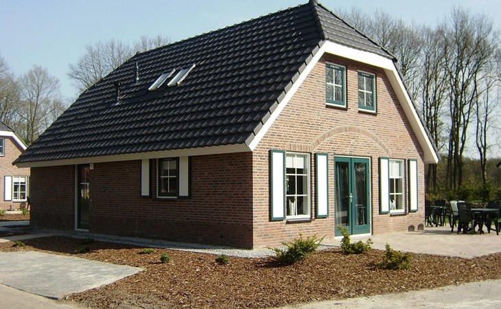 Zandduin Villa | 12 personen 1